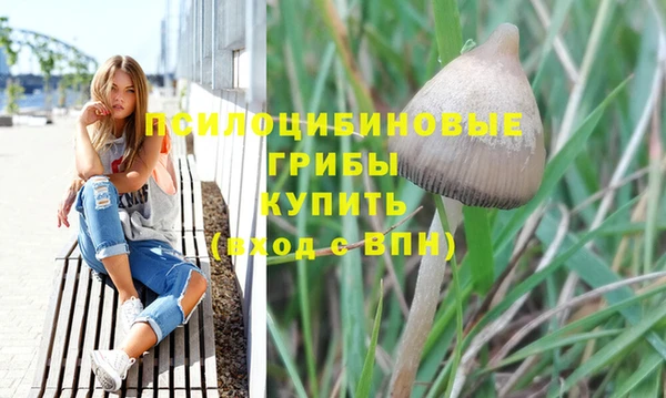 гашик Бронницы
