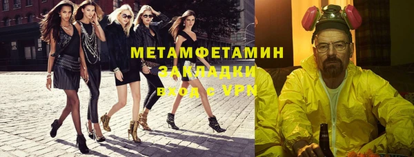 гидра Богородск