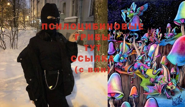 гашик Бронницы