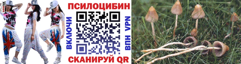 Галлюциногенные грибы мицелий  дарнет шоп  Дальнереченск 